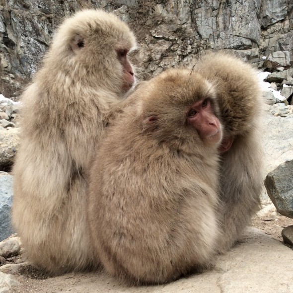 IMG_7923
